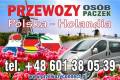 Busy Polska - Holandia Bez Przesiadek Tanio Szybko Bezpiecznie +48 601 380 539