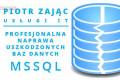Naprawa bazy danych MSSQL, baz P�atnika, Wapro, Insert, inne
